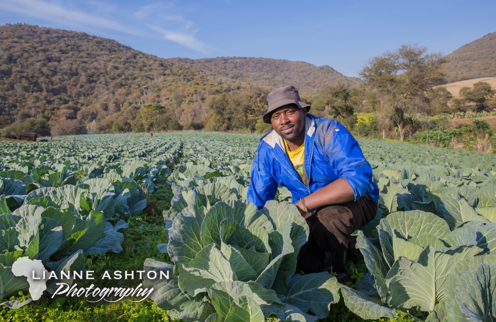 Smallholder farmer in Ixopo